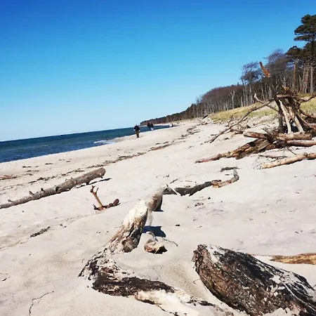 Blaue Lagune, Hinter Den Dünen Prerow